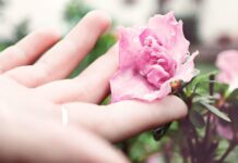 10 Outfits Inspired by Famous Works of Art are Auctioned in London